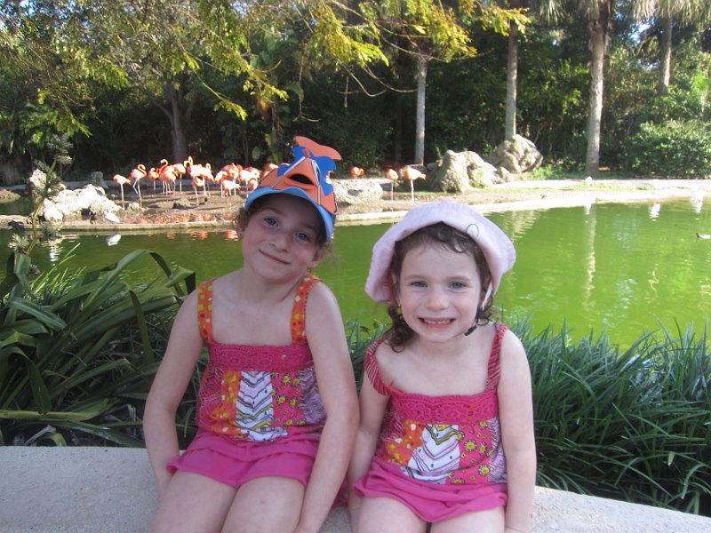 Florida Dec 2010 0150