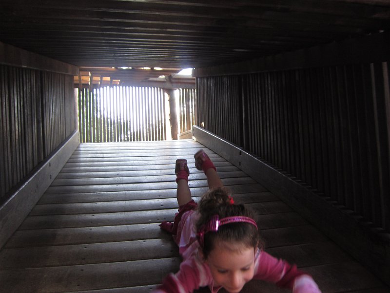 Florida Dec 2010 0159