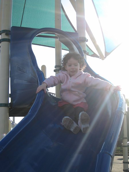 Florida 2010 0012