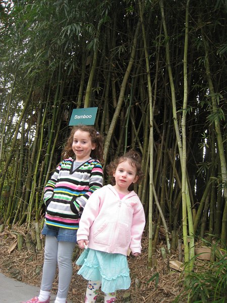 Florida 2010 0020