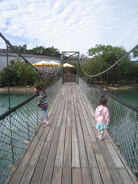 Florida 2010 0022
