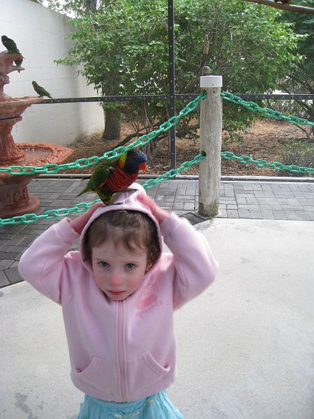 Florida 2010 0027