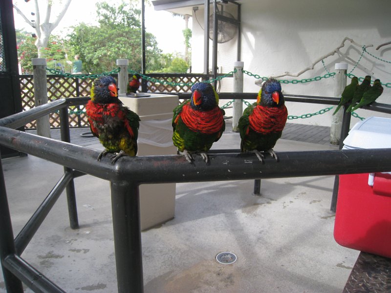 Florida 2010 0029