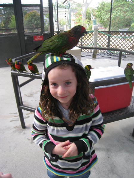 Florida 2010 0031