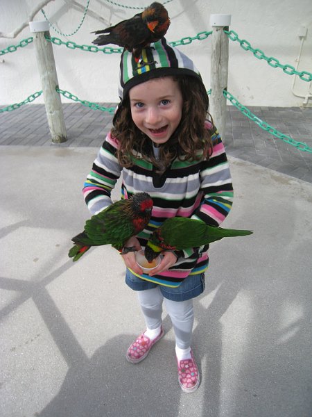 Florida 2010 0035