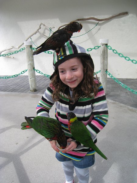 Florida 2010 0036