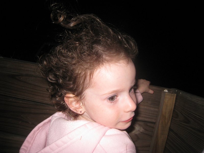 Florida 2010 0058