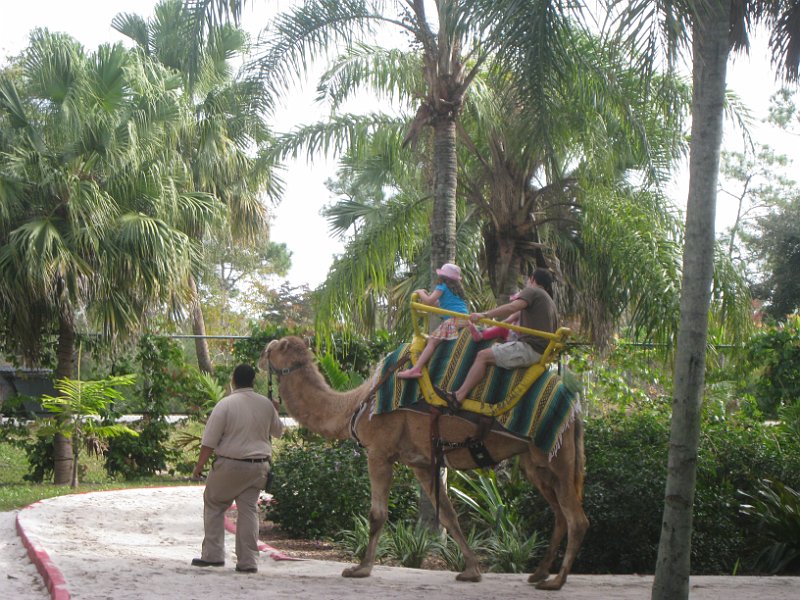 Florida 2010 0111