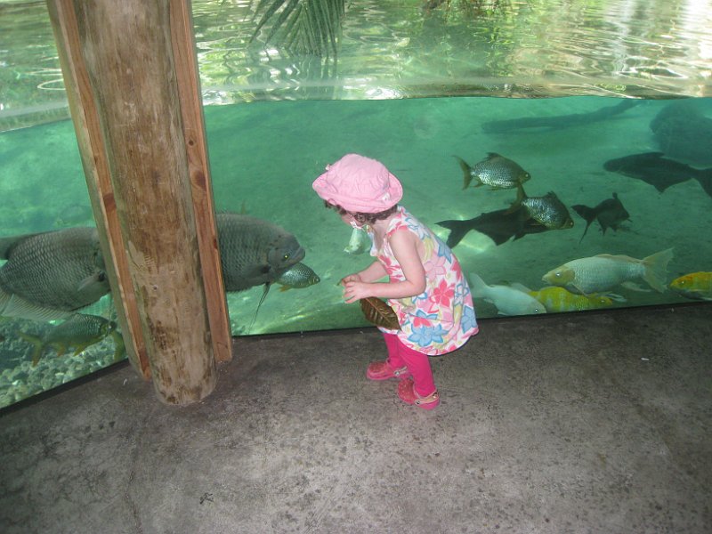 Florida 2010 0115
