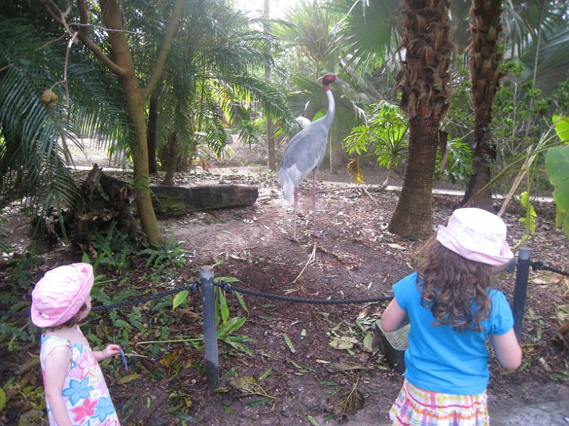 Florida 2010 0116