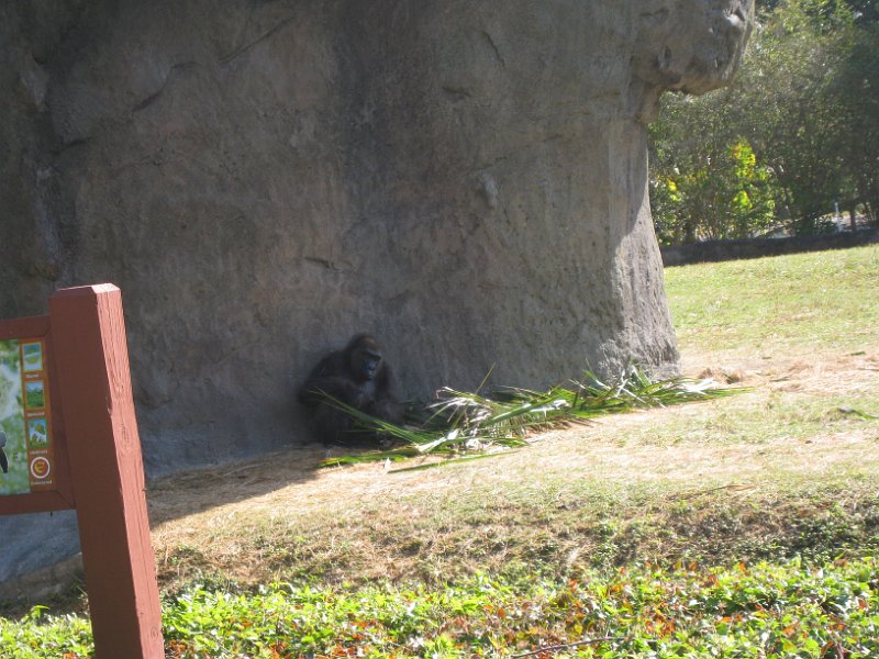 Florida 2010 0124
