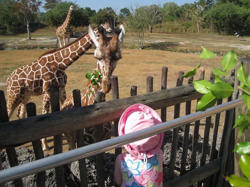 Florida 2010 0127