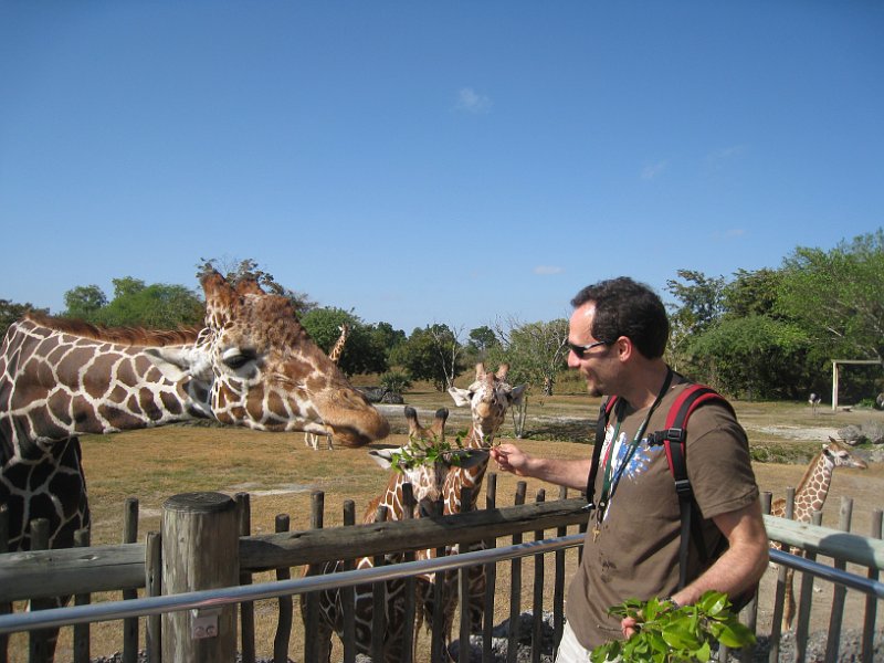 Florida 2010 0129
