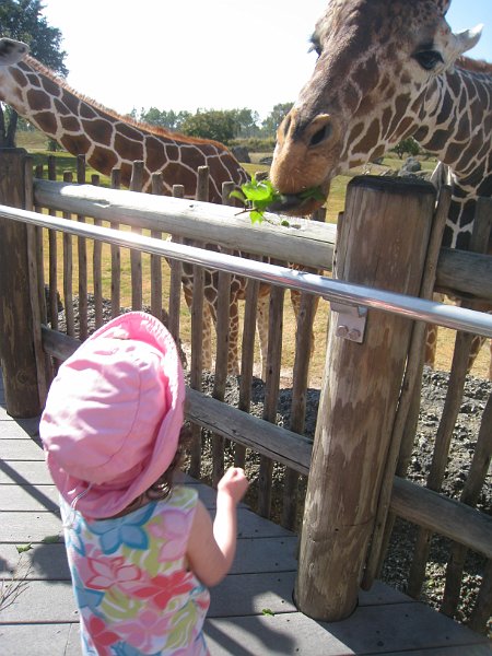 Florida 2010 0131