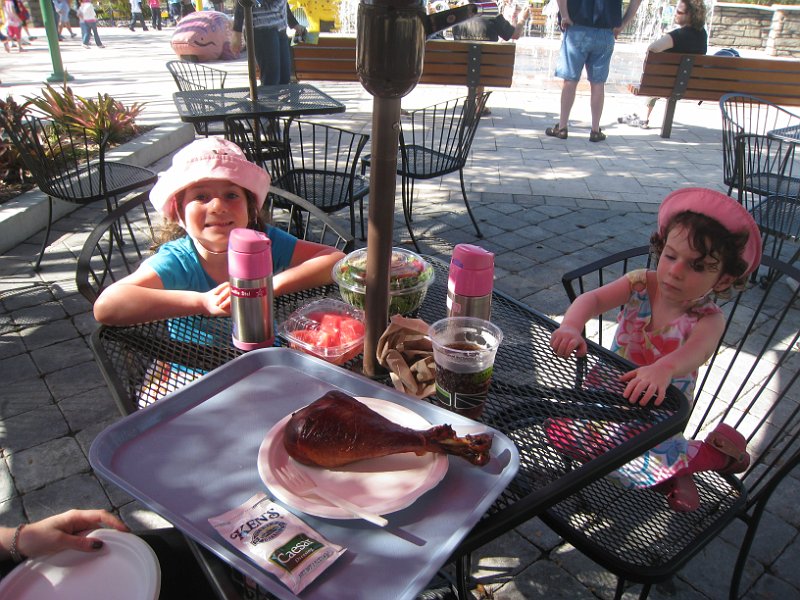 Florida 2010 0134