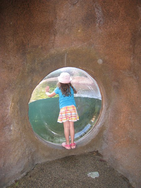 Florida 2010 0137