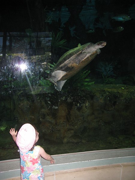 Florida 2010 0139