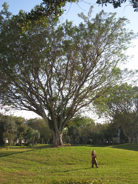 Florida 2010 0159