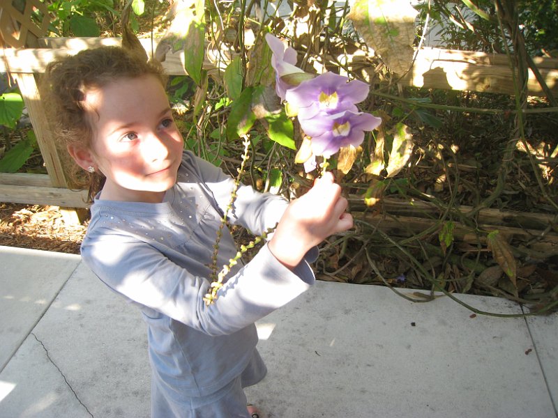 Florida 2010 0168