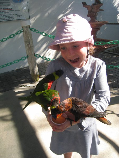 Florida 2010 0172