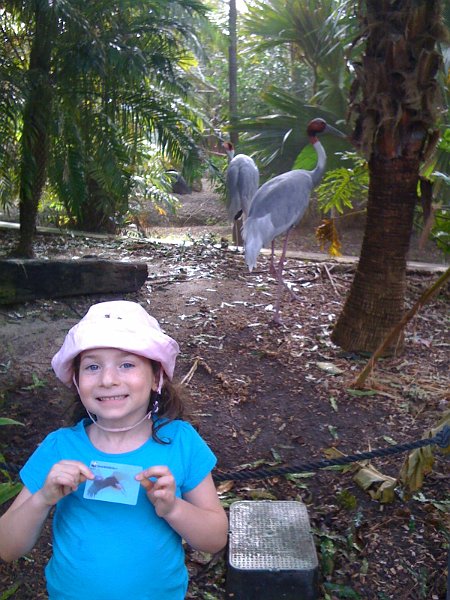 Florida 2010 0176