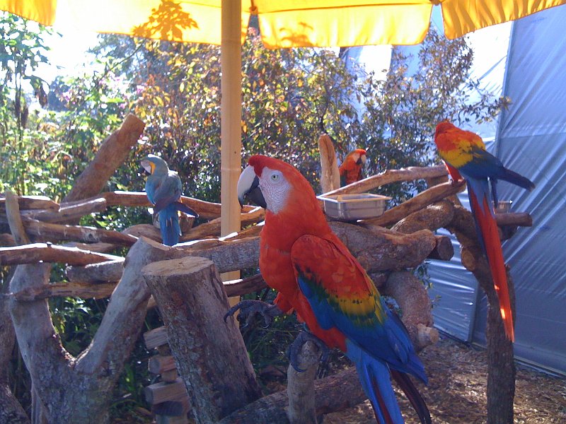 Florida 2010 0180
