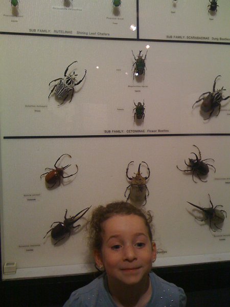 Florida 2010 0181