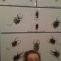Florida 2010 0181