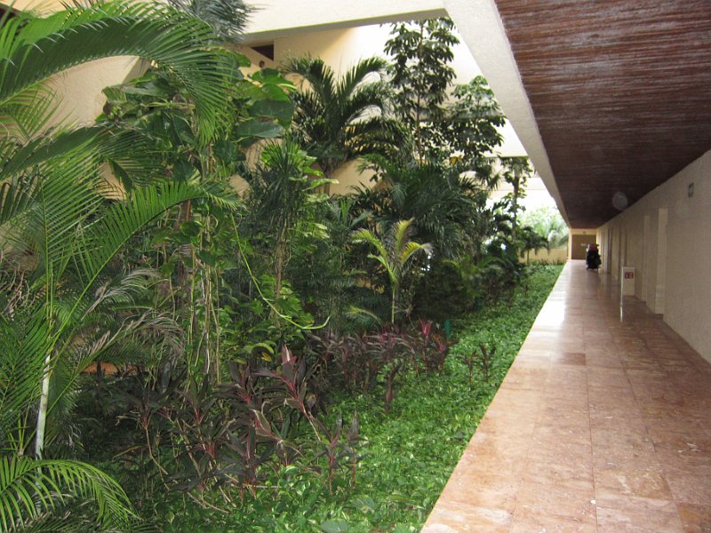 Mexico Dec 2010 0014