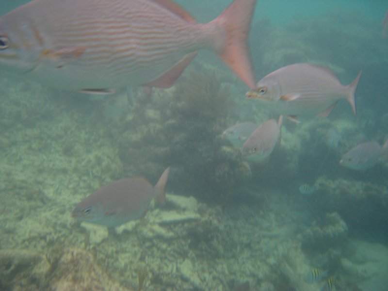 Mexico July 2010 0135