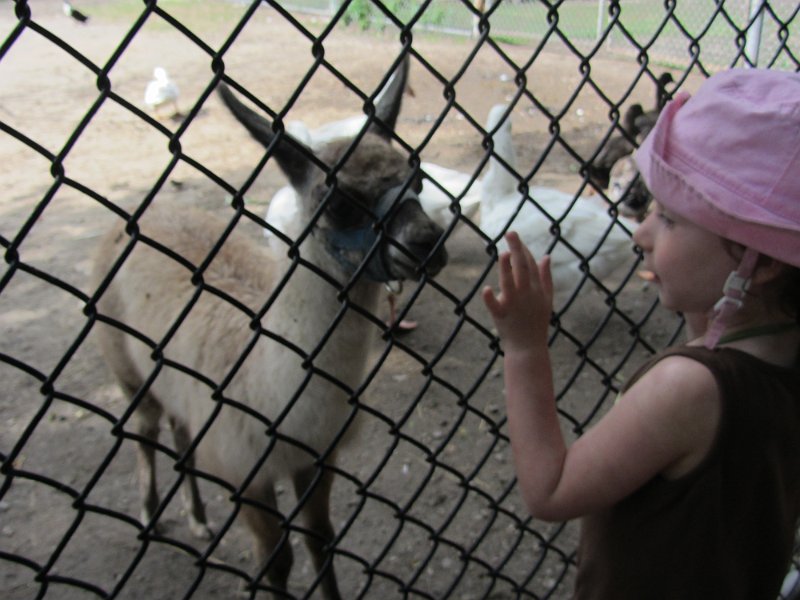 Toronto Aug2011 0073