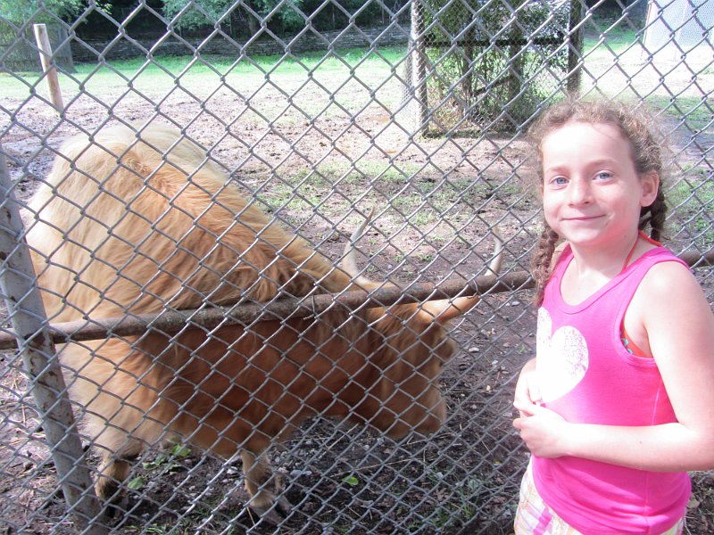 Toronto Aug2011 0075