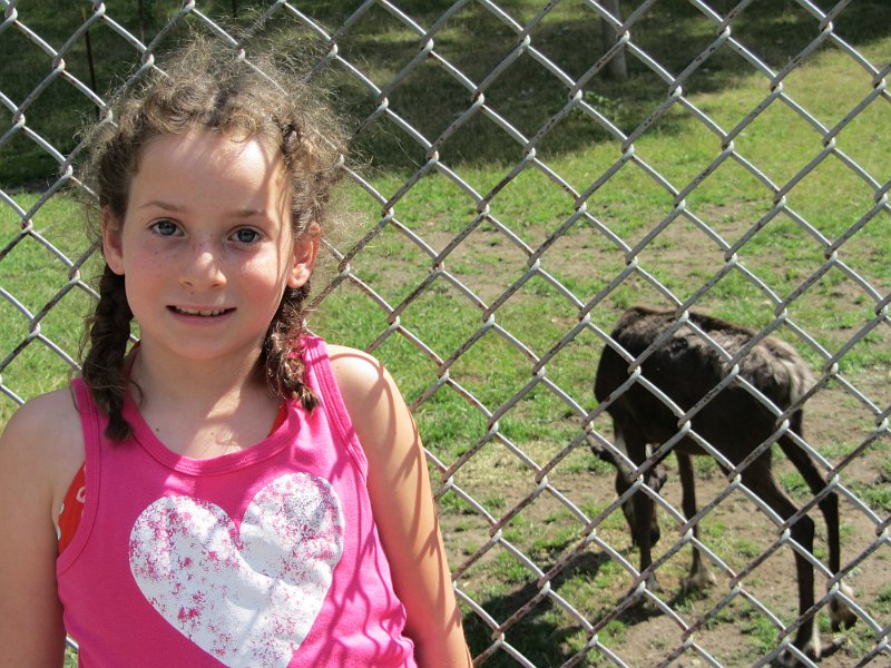 Toronto Aug2011 0081