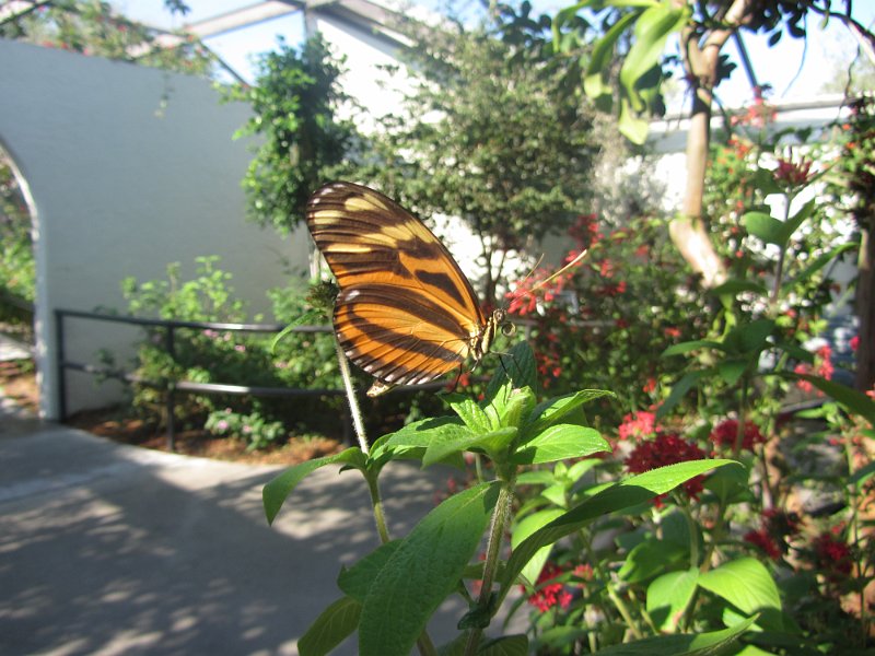Florida Apr2012 0038