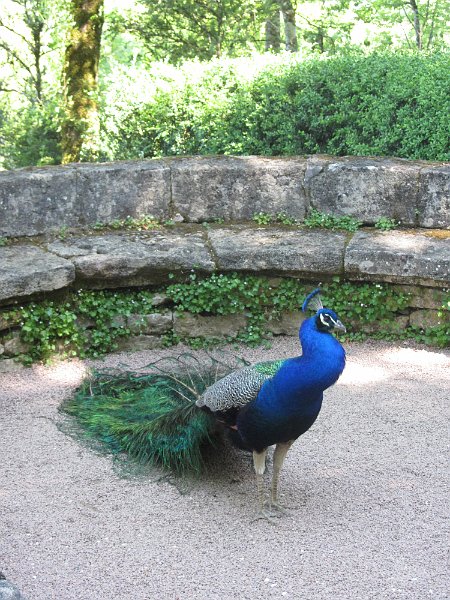 France 2013 0498