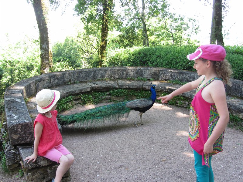 France 2013 0499