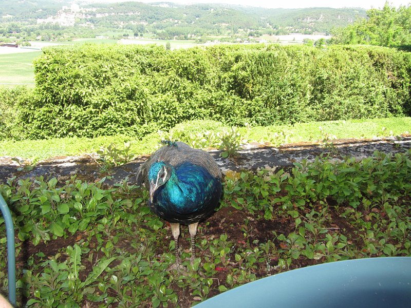 France 2013 0508