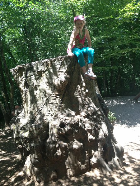 France 2013 0530