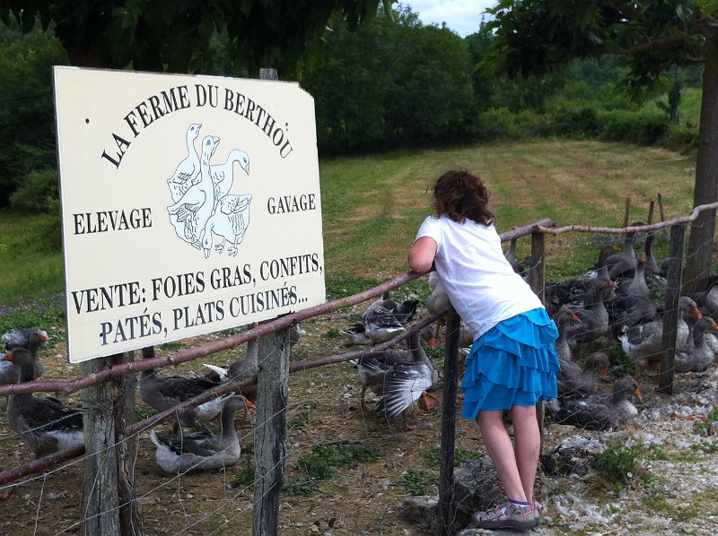 France 2013 0596