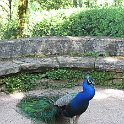 France 2013 0498