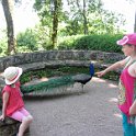 France 2013 0499