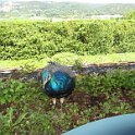 France 2013 0508