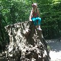 France 2013 0530