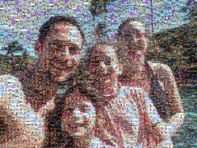 Florida April 2014 Mosaic 2