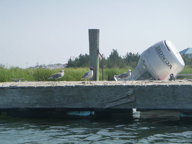 Jersey Shore July Aug 2014 0232