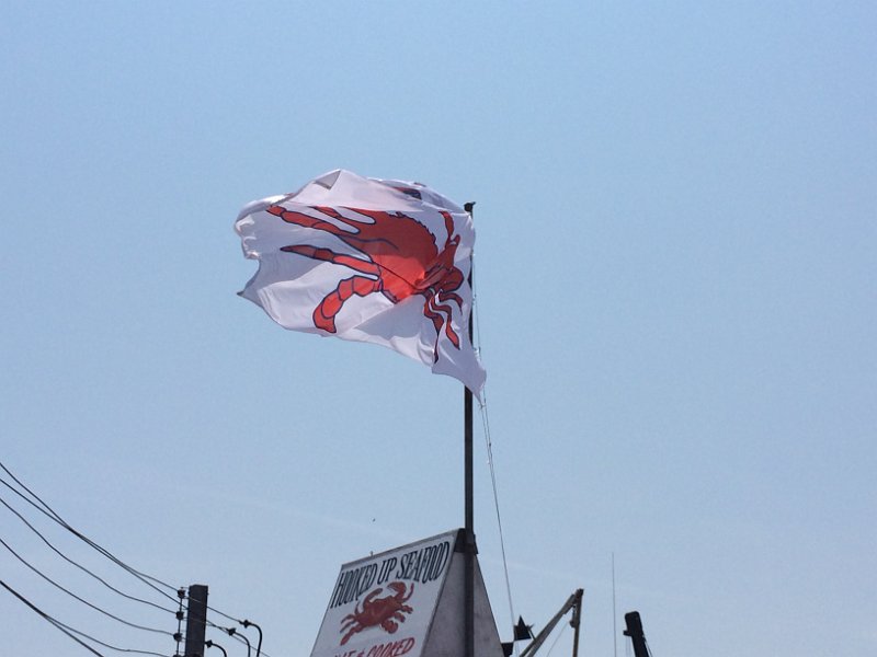 Jersey Shore July Aug 2014 0240