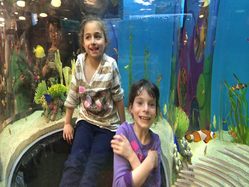 Toronto Passover April 2014 0050
