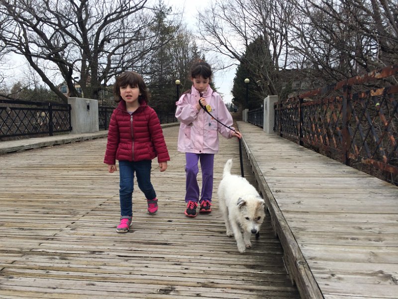 Toronto Passover April 2014 0090