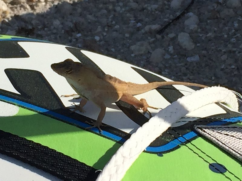 Club Med Sandpiper Apr2015 0131