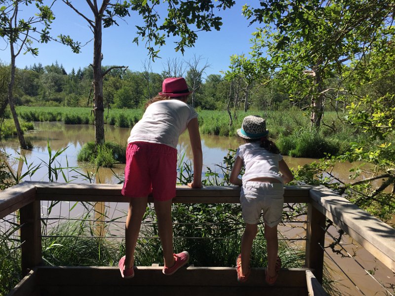 France 2015 0544